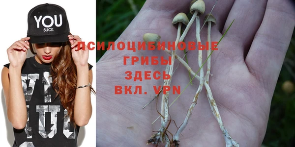 не бодяженный Волосово