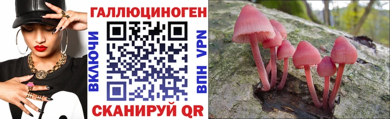 Галлюциногенные грибы ЛСД  Купить  Минеральные Воды 
